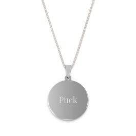 Zilverkleurige naamhanger - Cirkel
