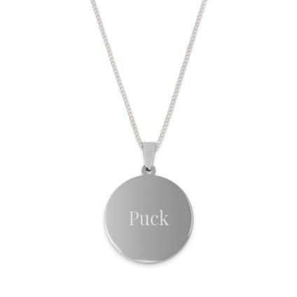 Zilverkleurige naamhanger - Cirkel